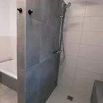 شقة Reiwaschhof *