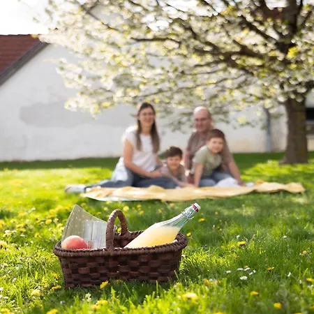 Reiwaschhof Apartman