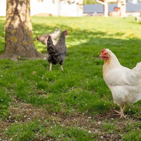 Apartman Reiwaschhof Dobersberg