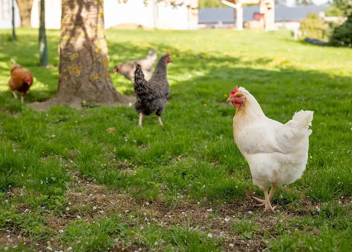 Apartman Reiwaschhof Dobersberg